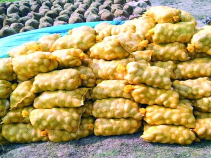 সবজি রপ্তানিতে চমক বগুড়ার